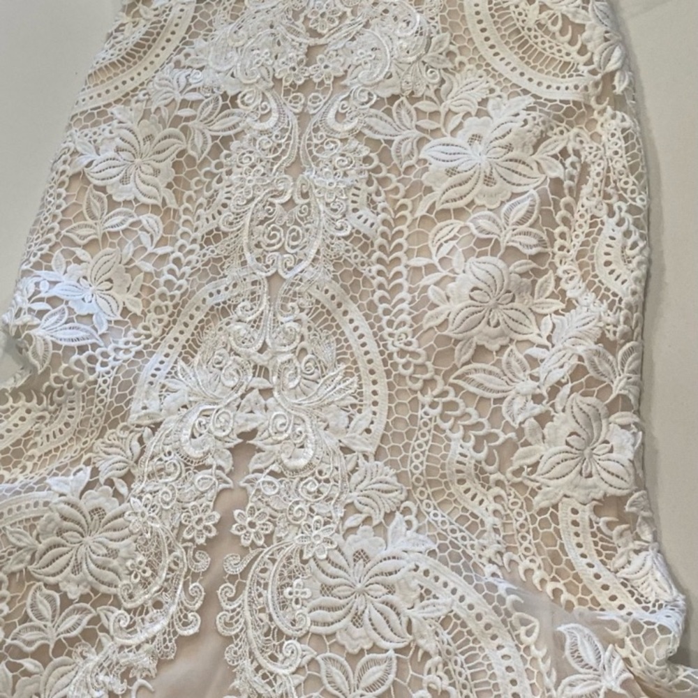 Pronovias White Lace Fit-and-Flare Wedding Dress - Picture 6 of 9